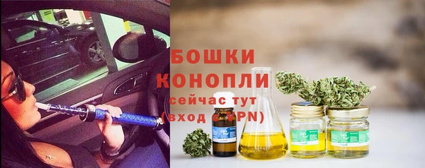 тгк Вяземский