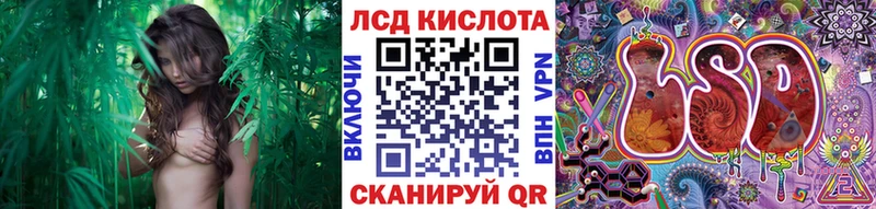 OMG tor  Нестеровская  Марки NBOMe 1,5мг 