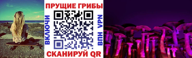 Псилоцибиновые грибы прущие грибы  Нестеровская 